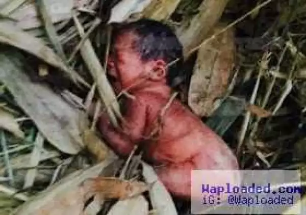 Checkout New Photos of The Abandoned Baby Rescued By a Dog Last Year (Graphic)